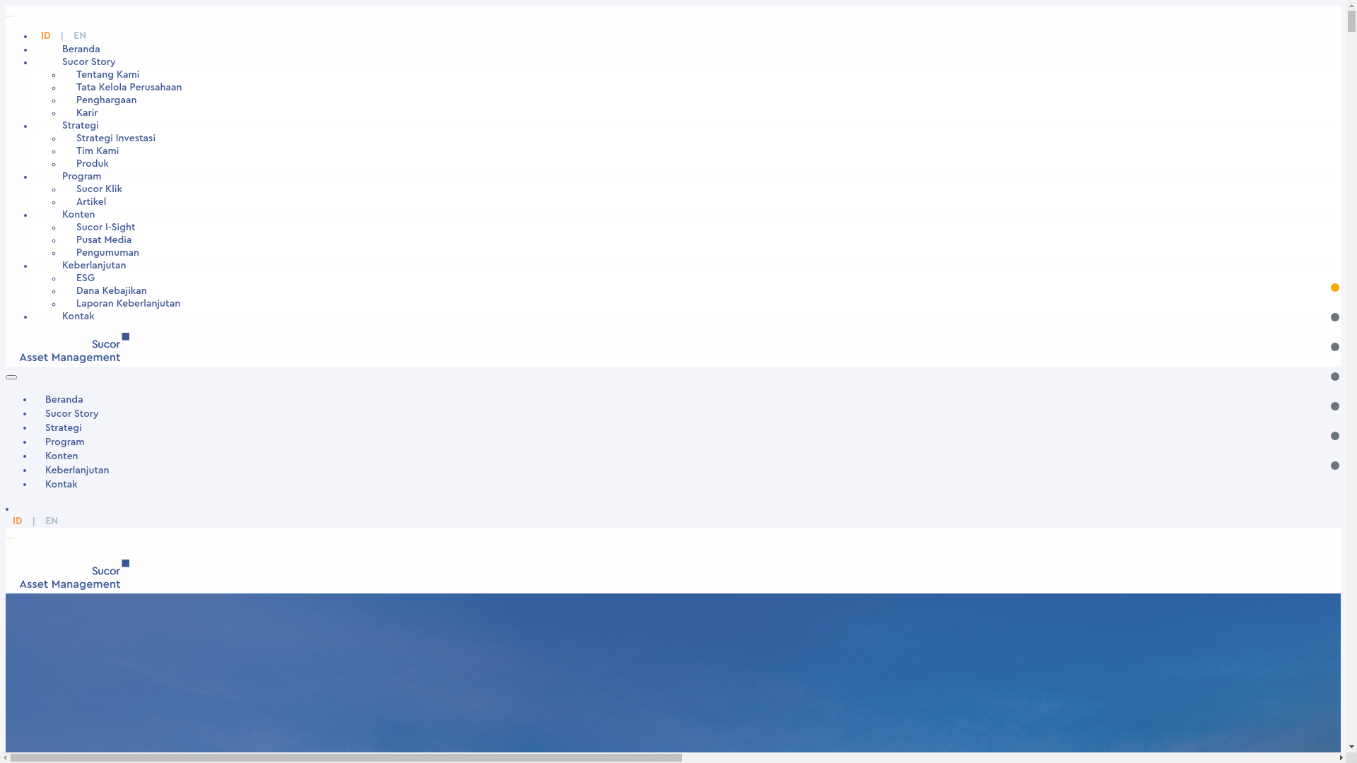 website screenshot of https://www.sucorinvestam.com/