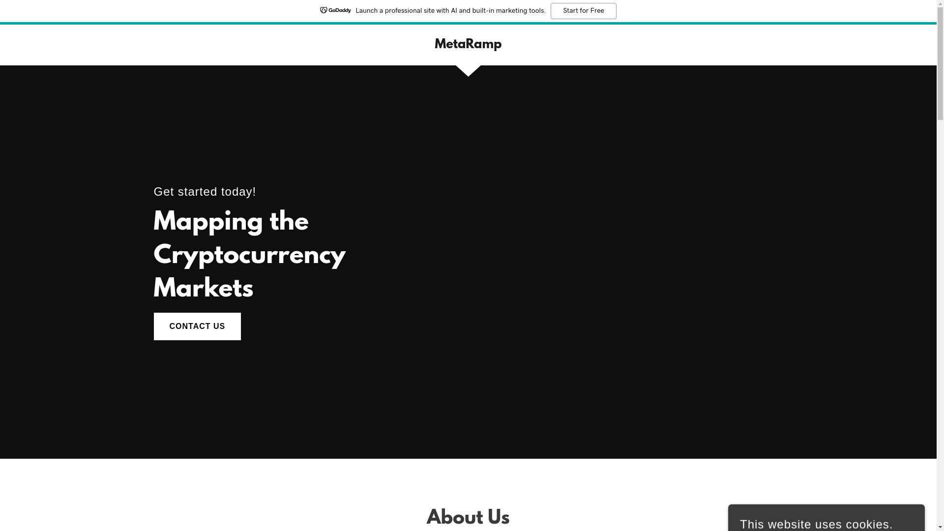 website screenshot of https://metaramp.io/