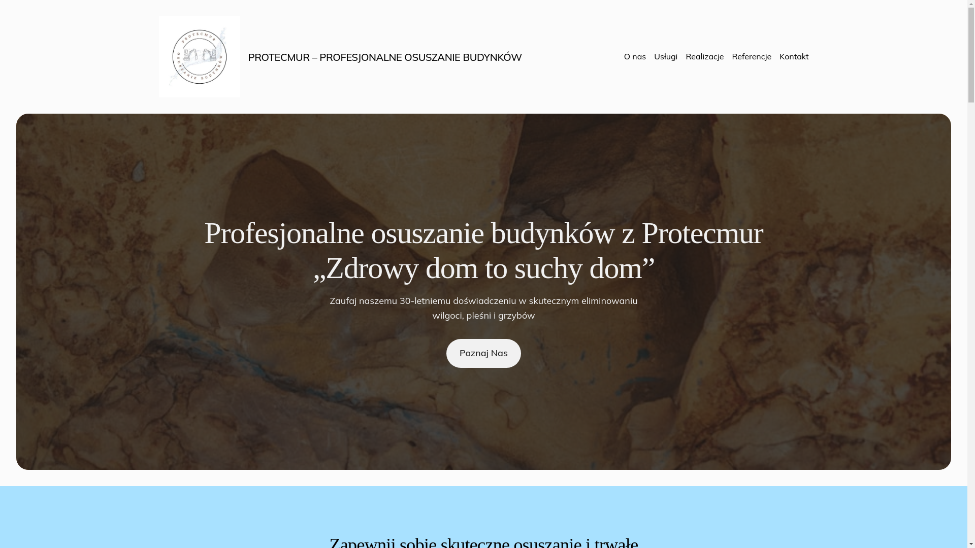 website screenshot of https://protecmur.pl/