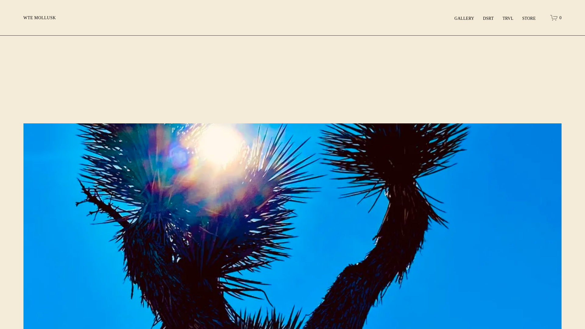 website screenshot of https://desertphotos.org/