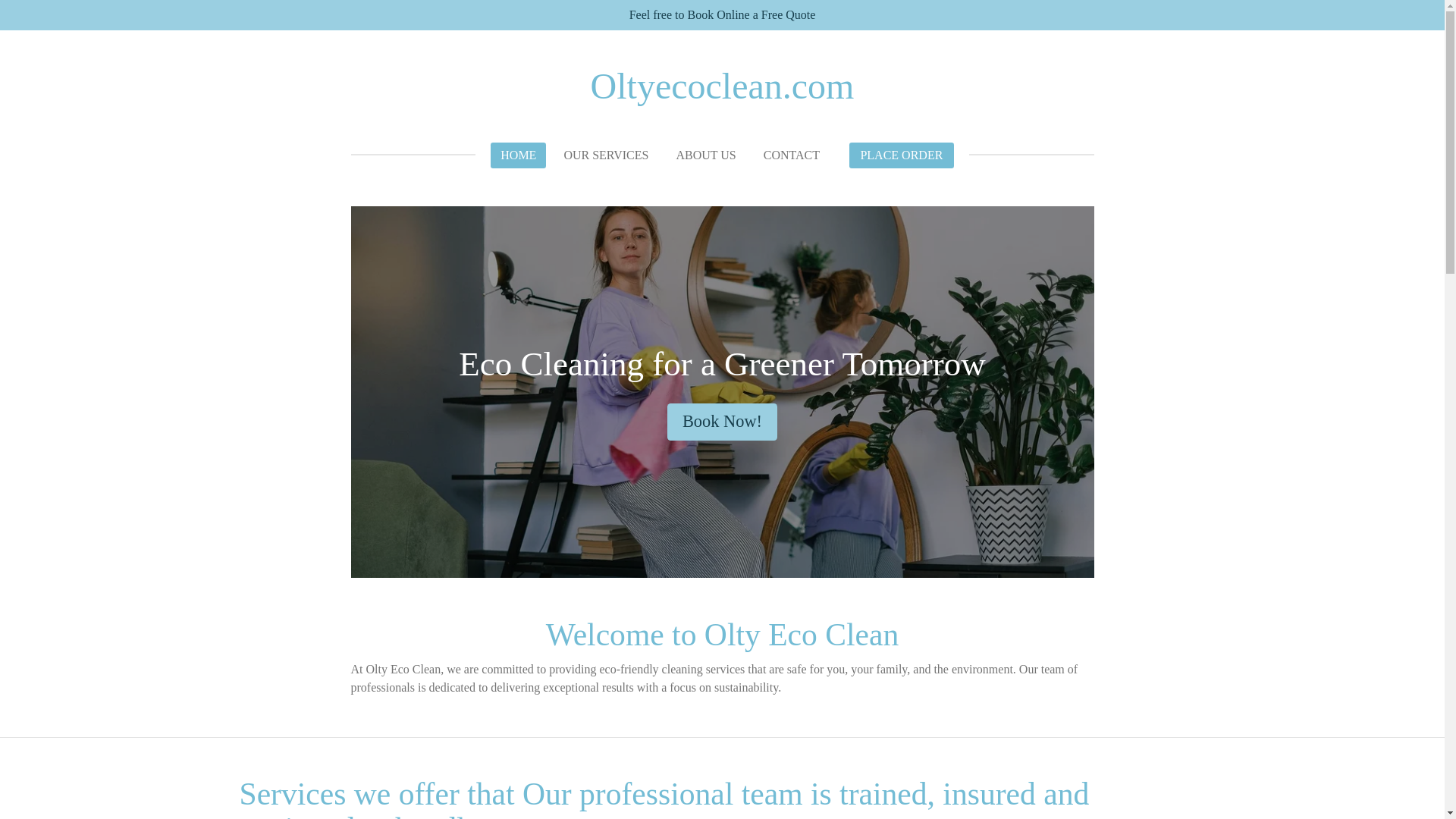 website screenshot of https://oltyecoclean.com/