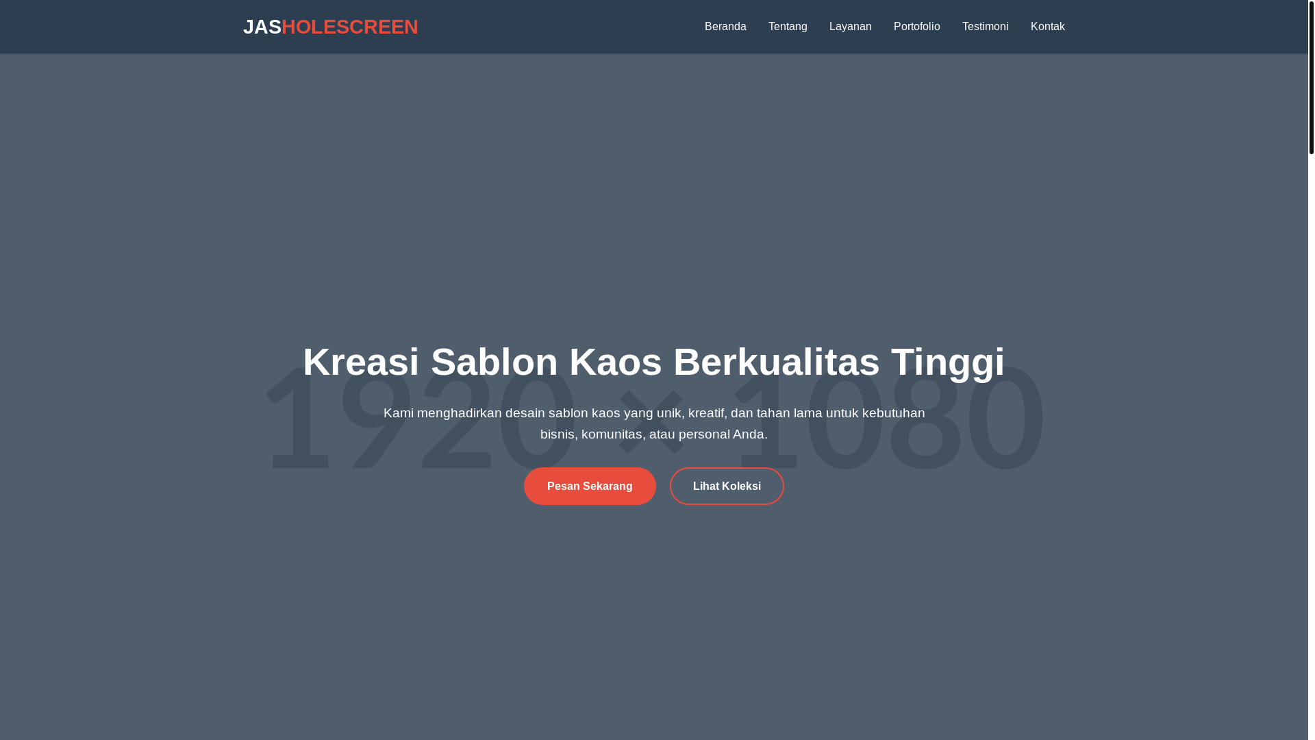 website screenshot of https://holescreen.shop/