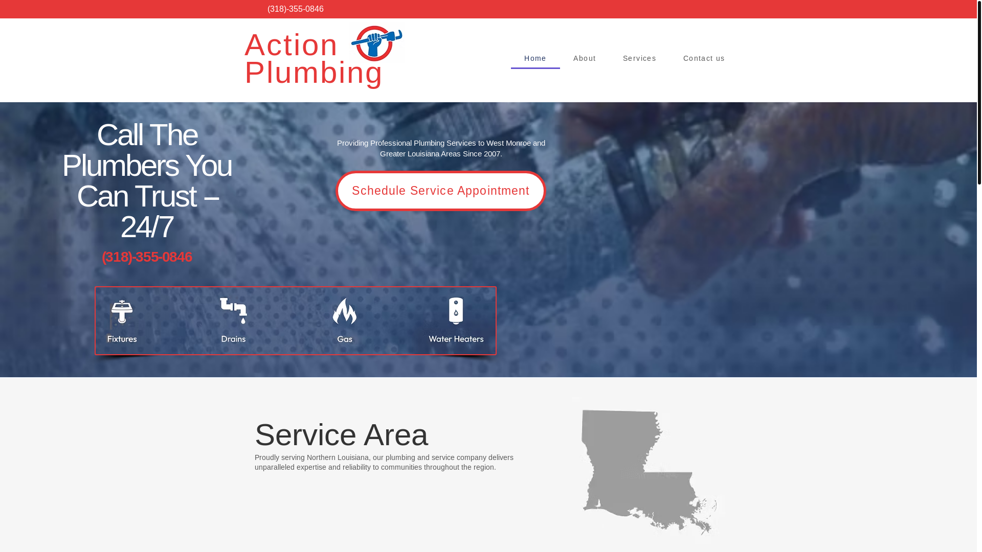 website screenshot of https://actionplumbingwm.com/