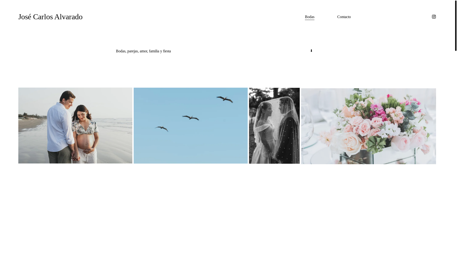 website screenshot of https://josecarlosalvarado.com/