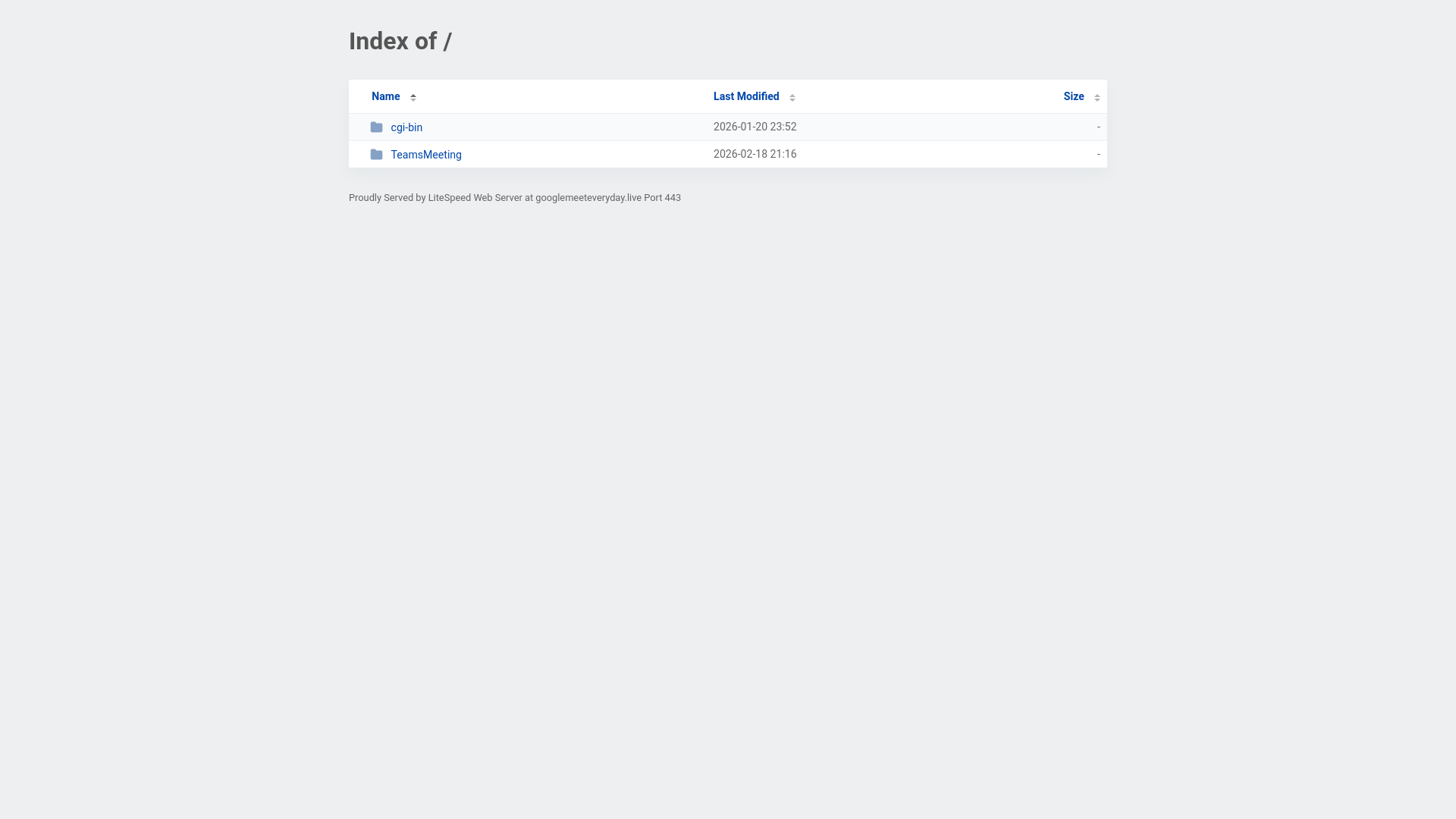 website screenshot of https://googlemeeteveryday.live/