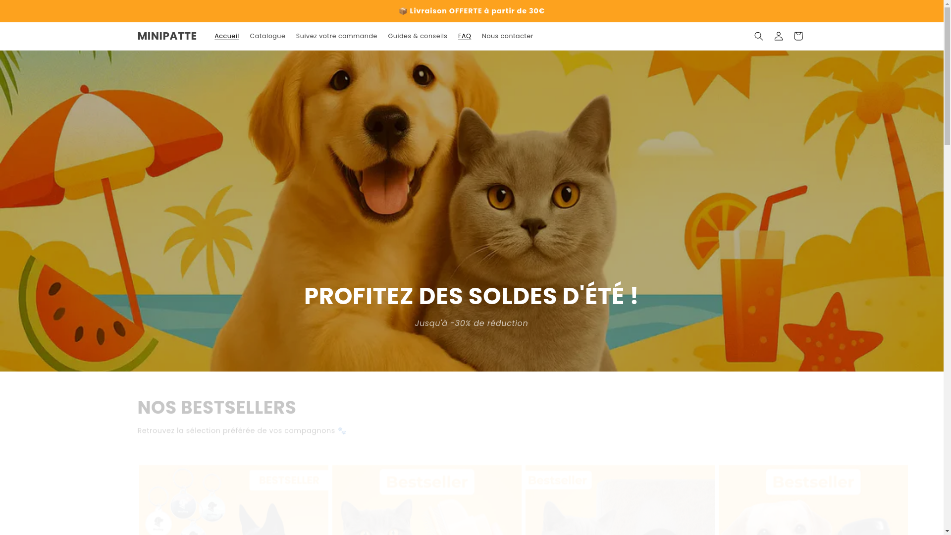 website screenshot of https://minipatte.com/