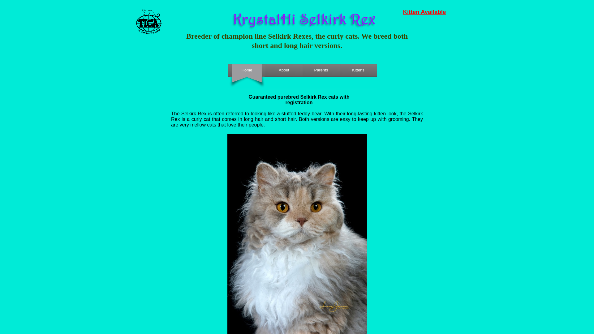 website screenshot of https://krystalhiselkirkrex.com/