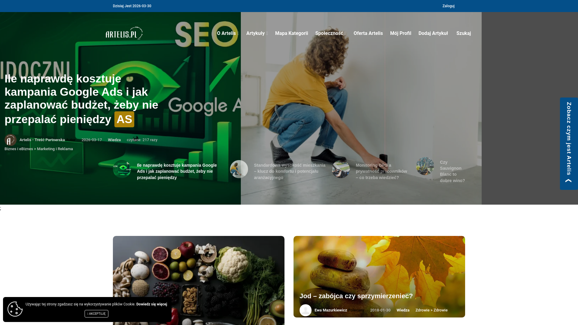 website screenshot of https://artelis.pl