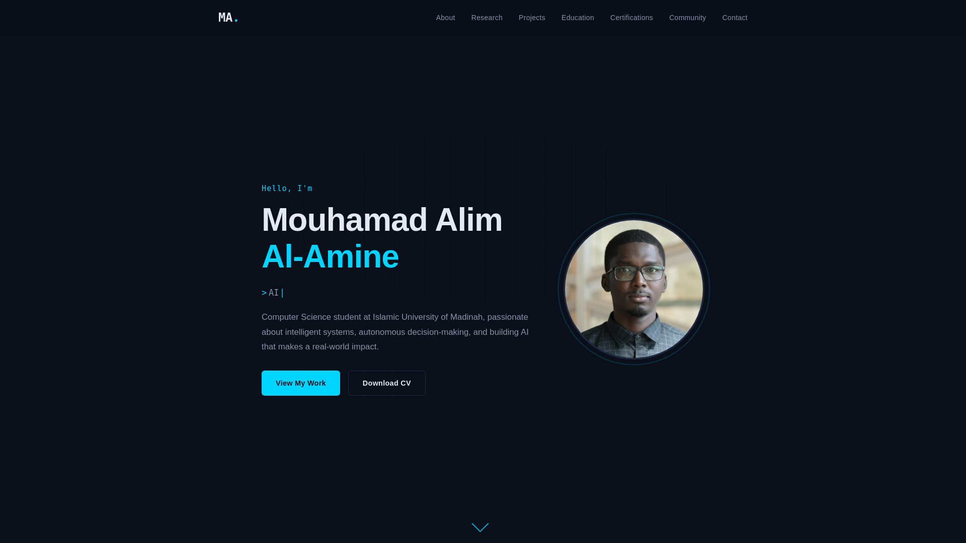 website screenshot of https://mouhamadalim.com/