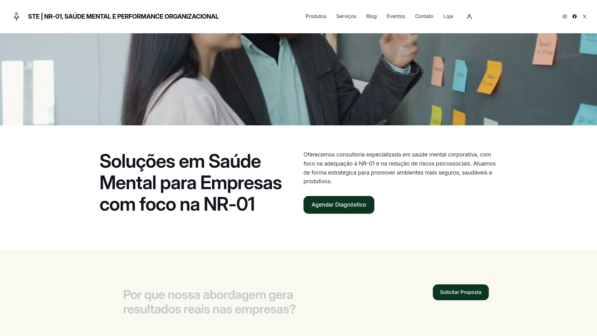 website screenshot of https://steconsultoria.com/