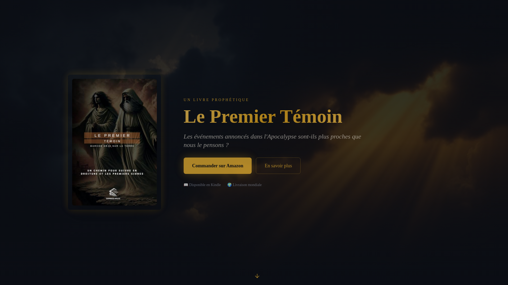website screenshot of https://lepremiertemoin.com