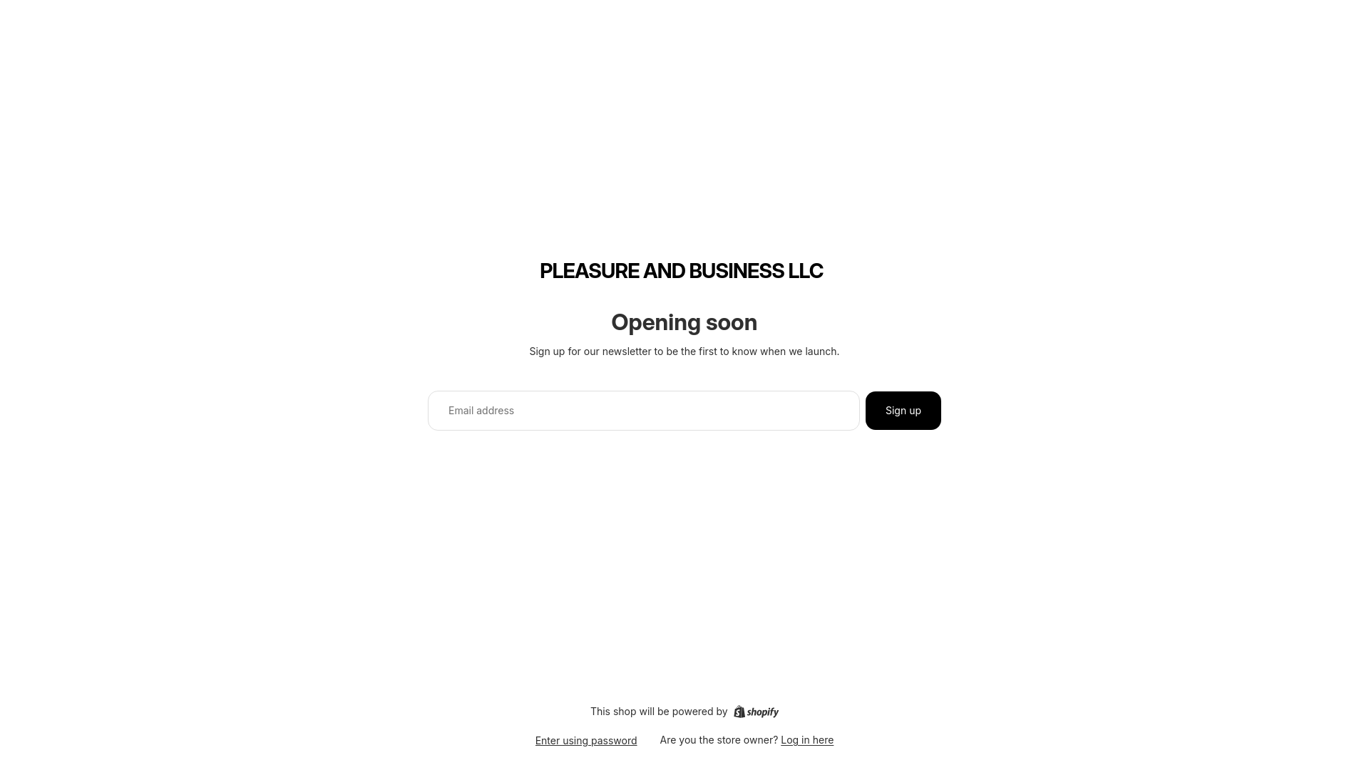 website screenshot of https://pleasureandbusiness.store/