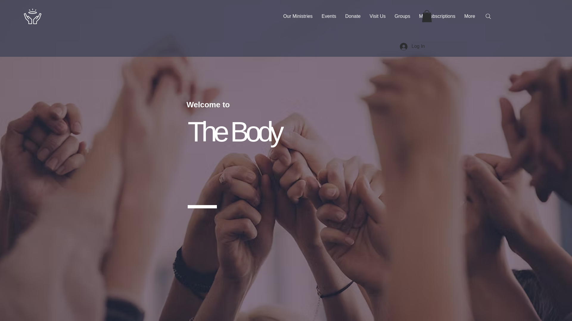website screenshot of https://thebodyundivided.com/