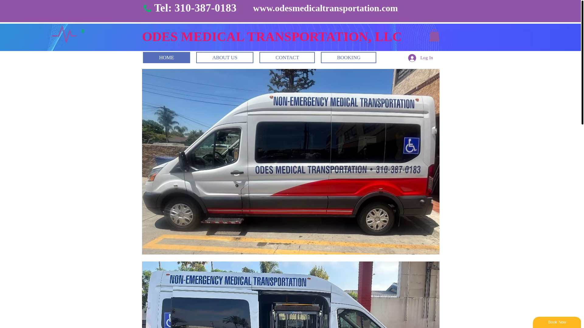 website screenshot of https://odes-medical-transpo.com/