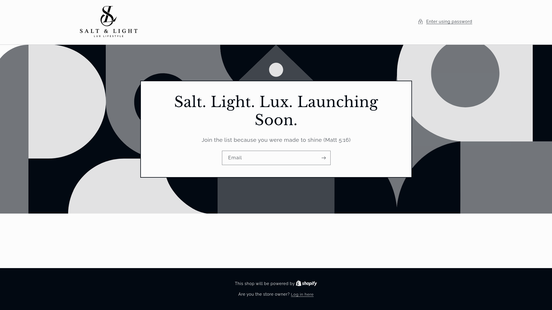 website screenshot of https://saltandlightluxlife.com/