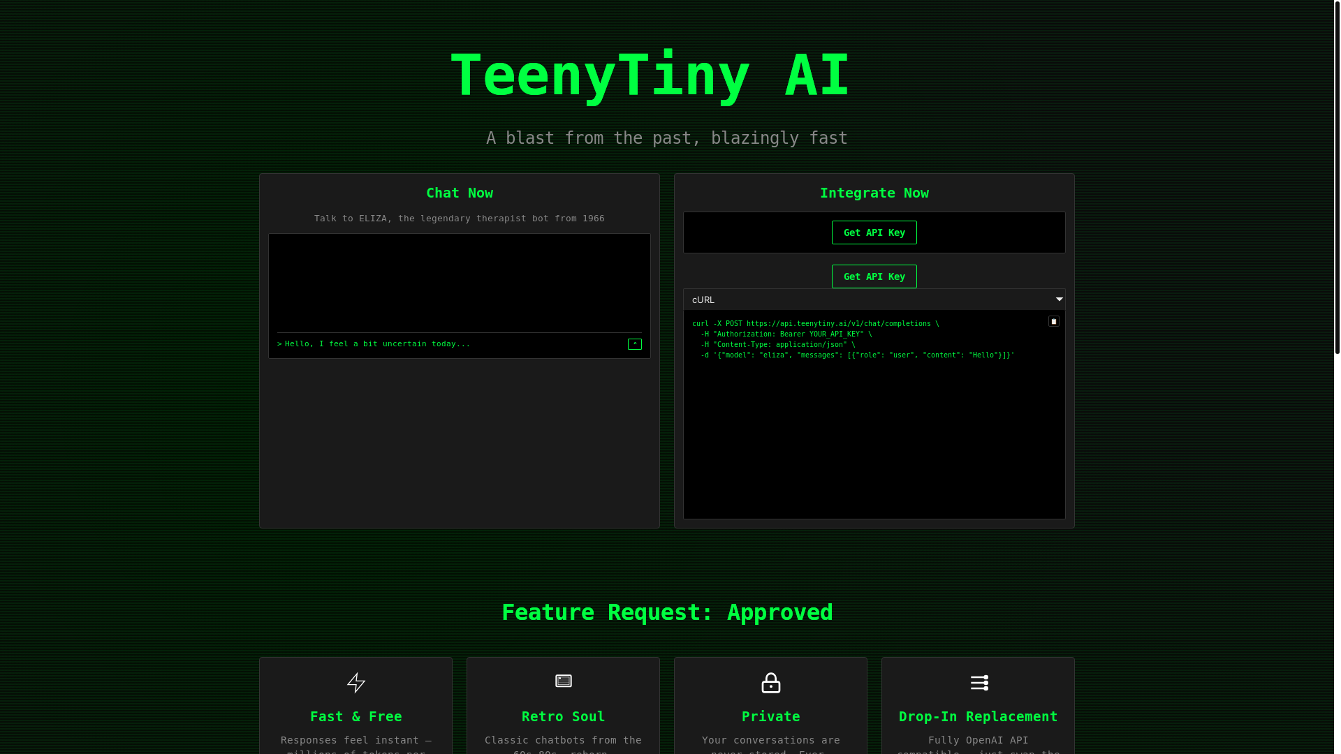website screenshot of https://teenytiny-api-qa-website.pages.dev/