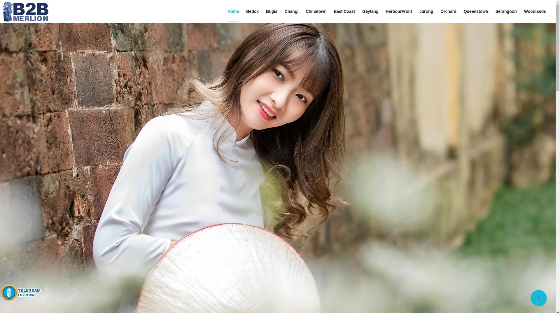 website screenshot of https://b2bmerlion.pages.dev/