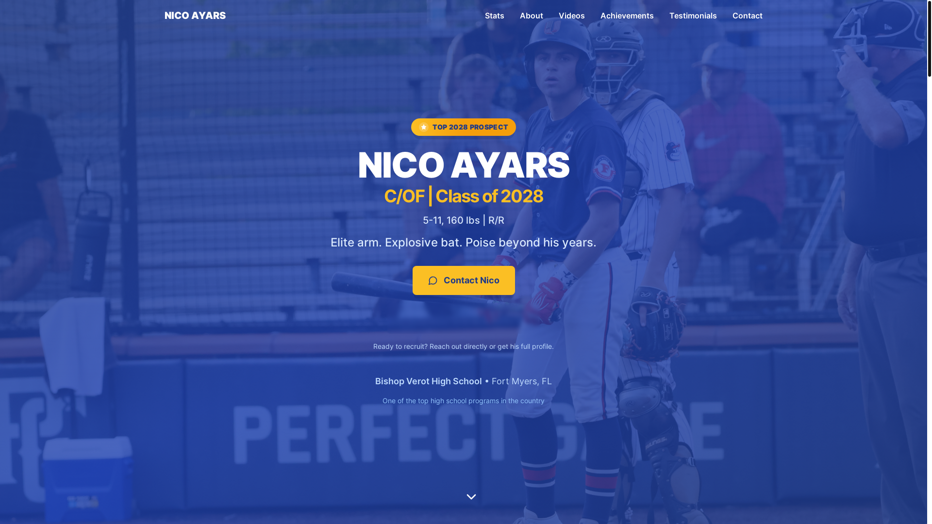 website screenshot of https://nicoayars.com/