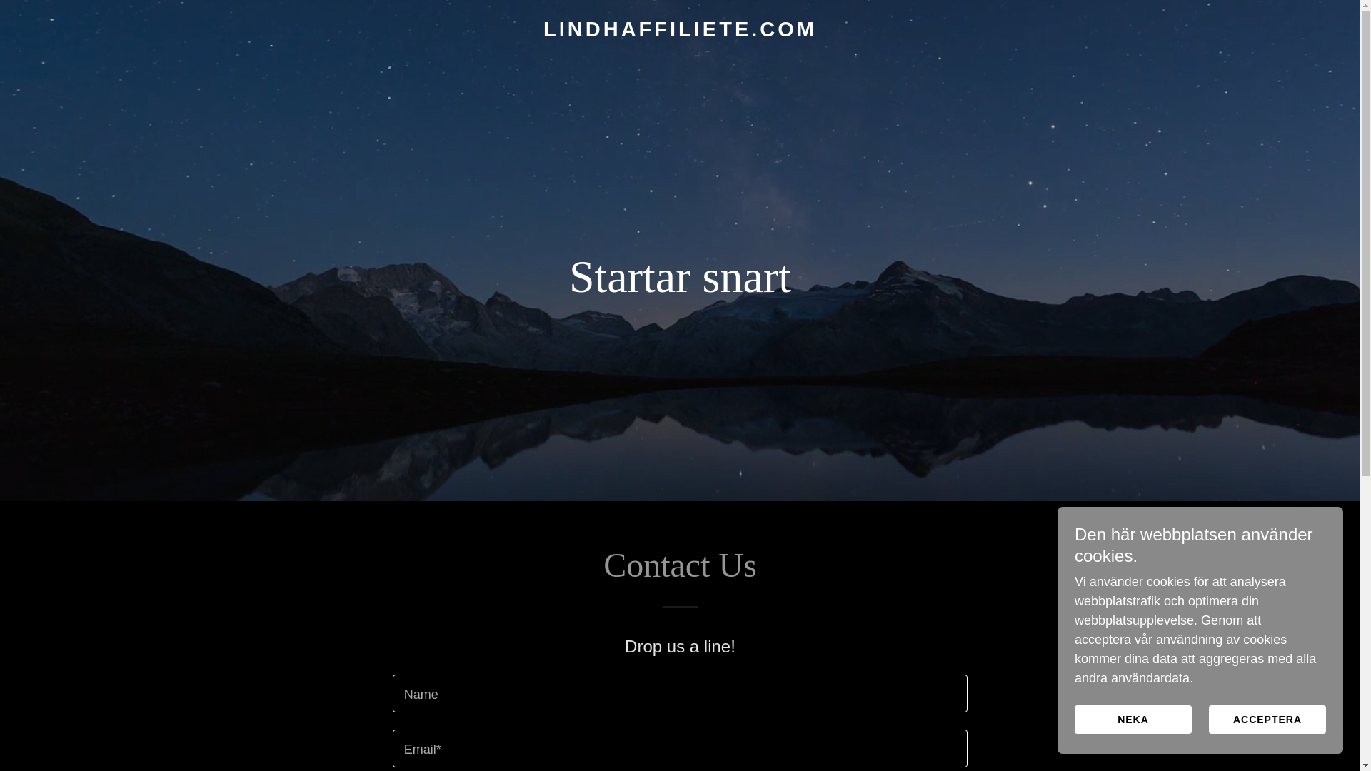 website screenshot of https://lindhaffiliete.com/