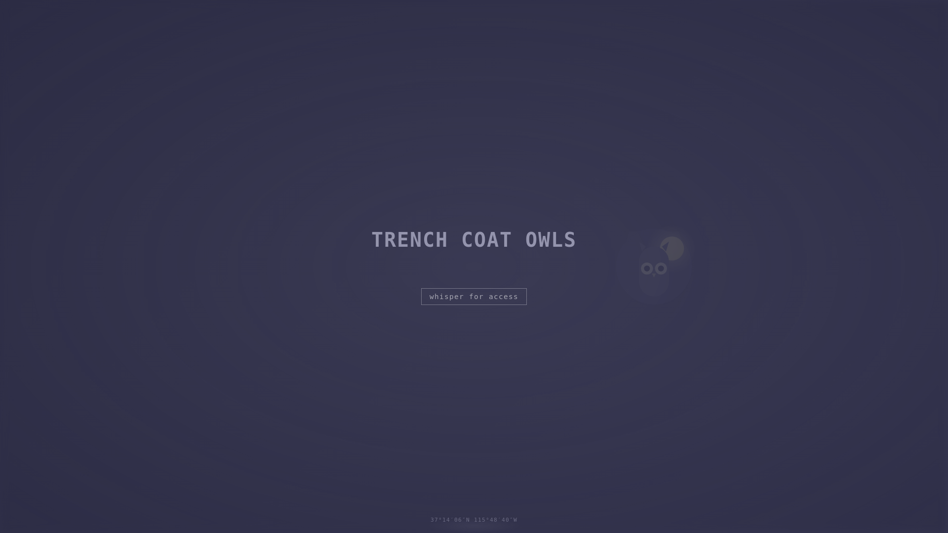 website screenshot of https://trenchcoatowls.com/