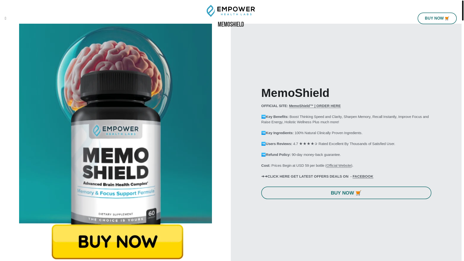 website screenshot of https://memoshield.mystrikingly.com/