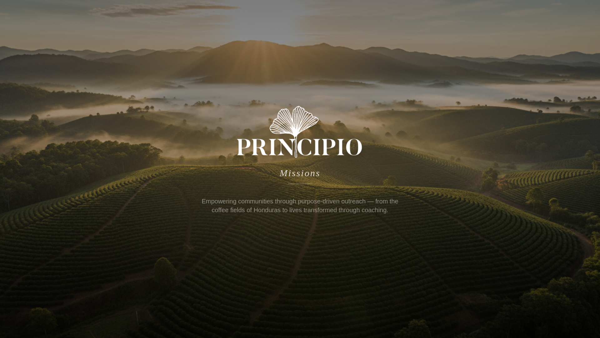 website screenshot of https://principiomissions.com/