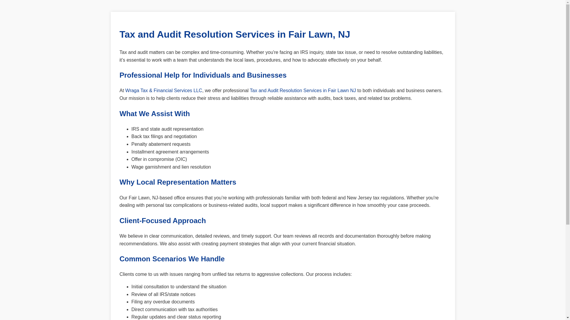 website screenshot of https://tax-audit-resolution-fair-lawn.pages.dev/