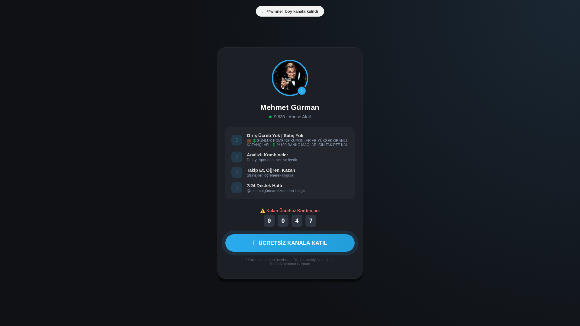 website screenshot of https://mehmetgurman.online/
