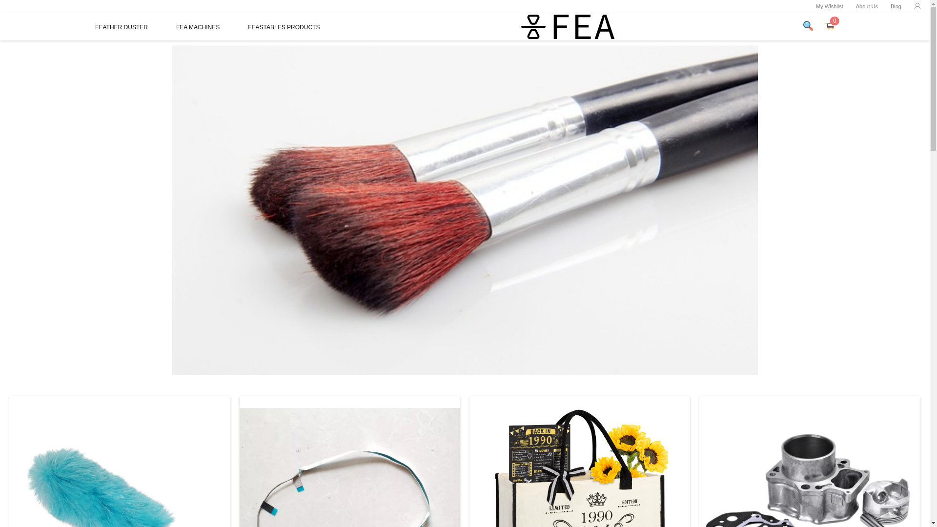 website screenshot of https://feaonline.shop/