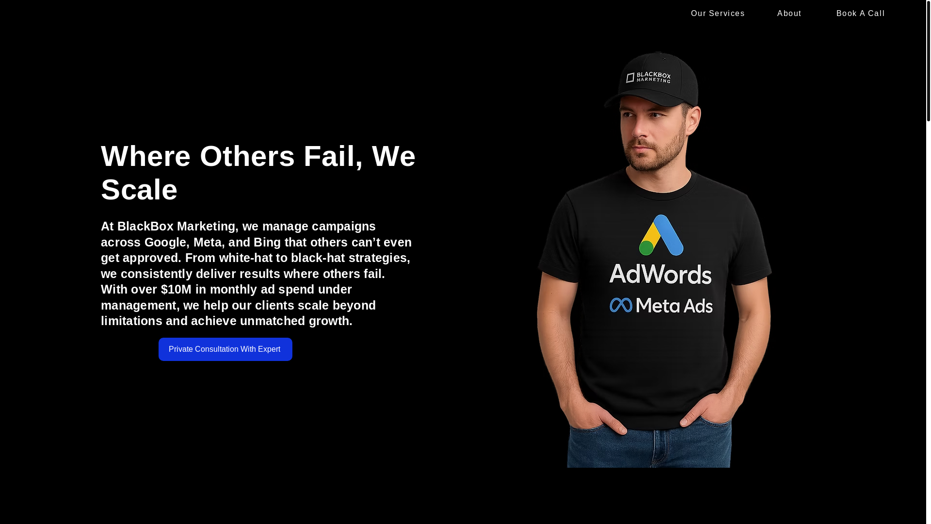 website screenshot of https://blackboxmarketer.com/