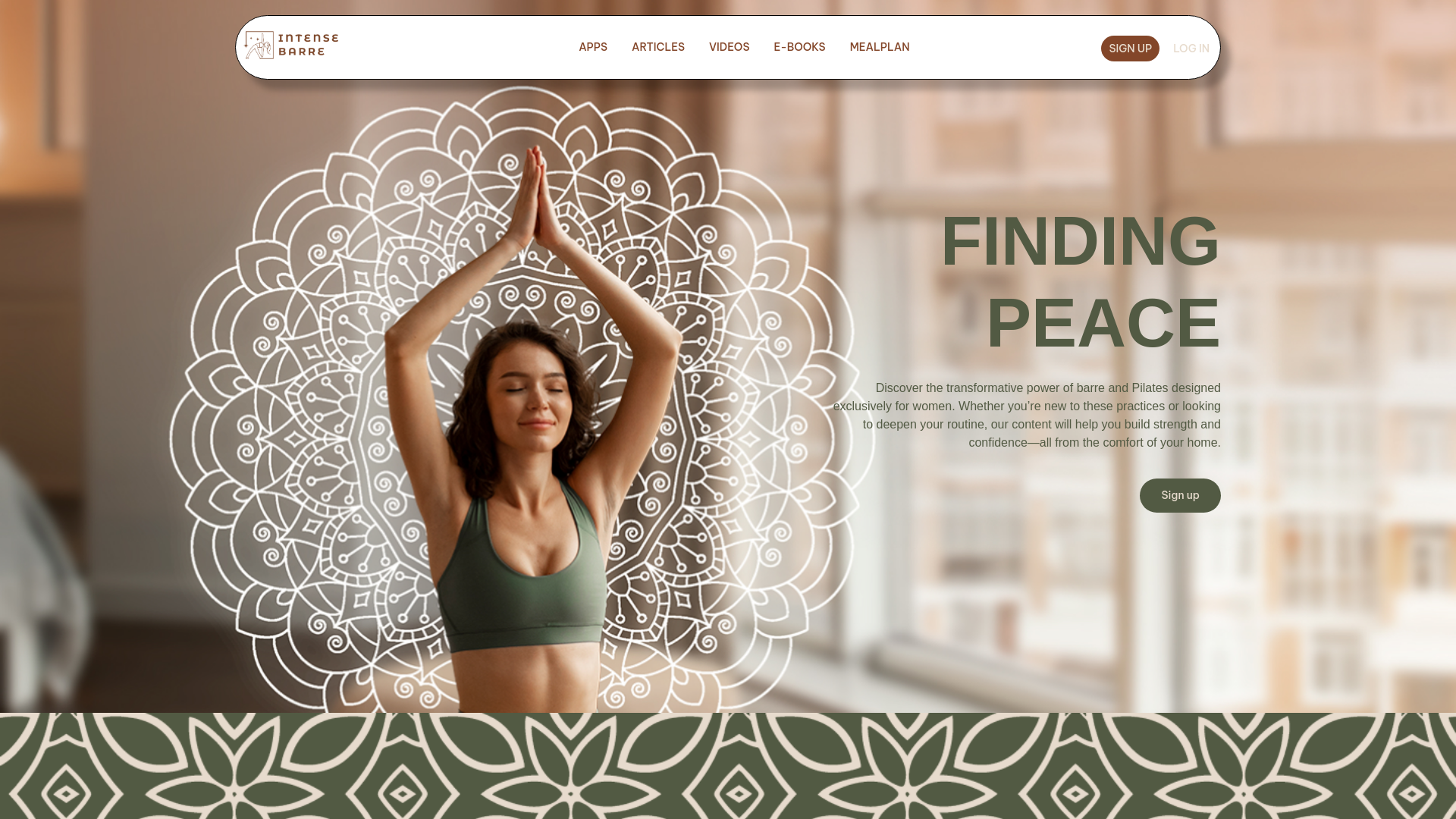 website screenshot of https://intensebarre.com/