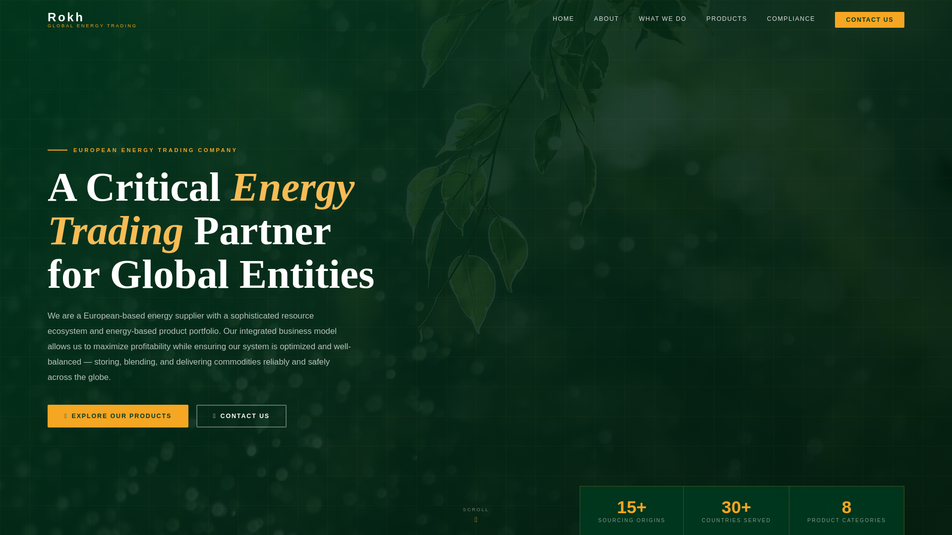 website screenshot of https://rokhpetroleum.com