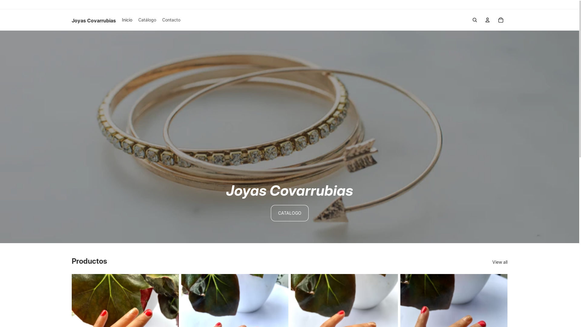 website screenshot of https://joyascovarrubias.com/