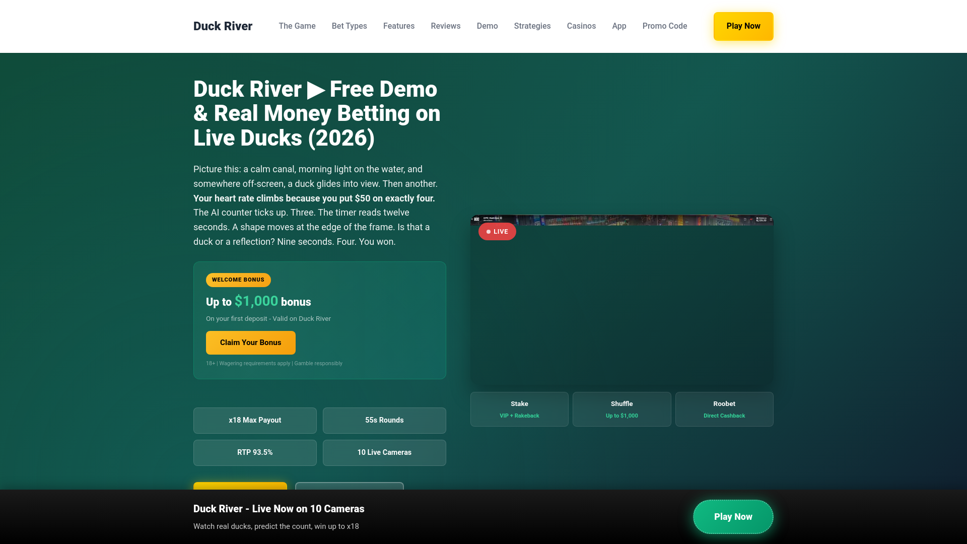 website screenshot of https://duck-river.net/