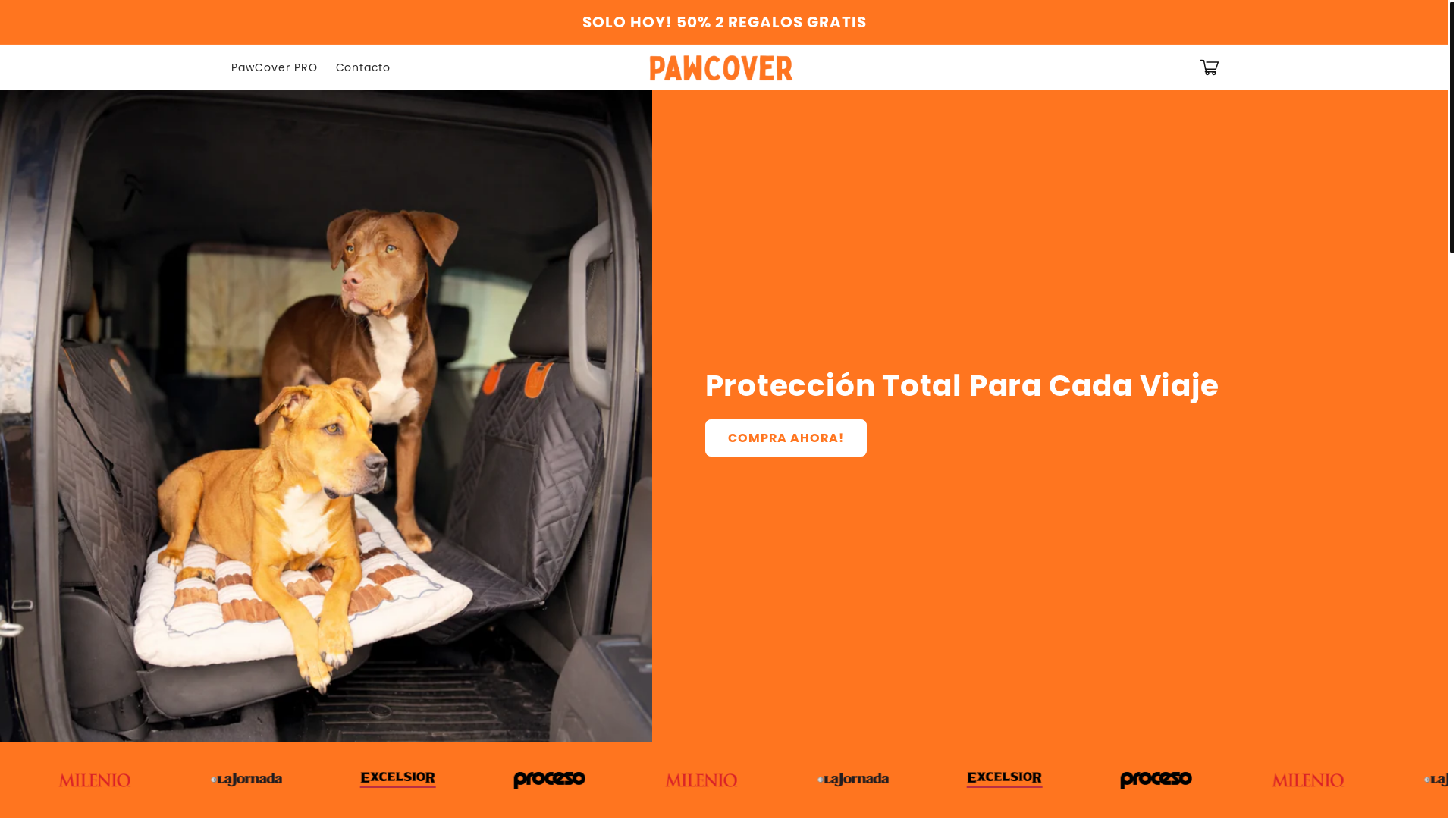 website screenshot of https://paw-cover.com/