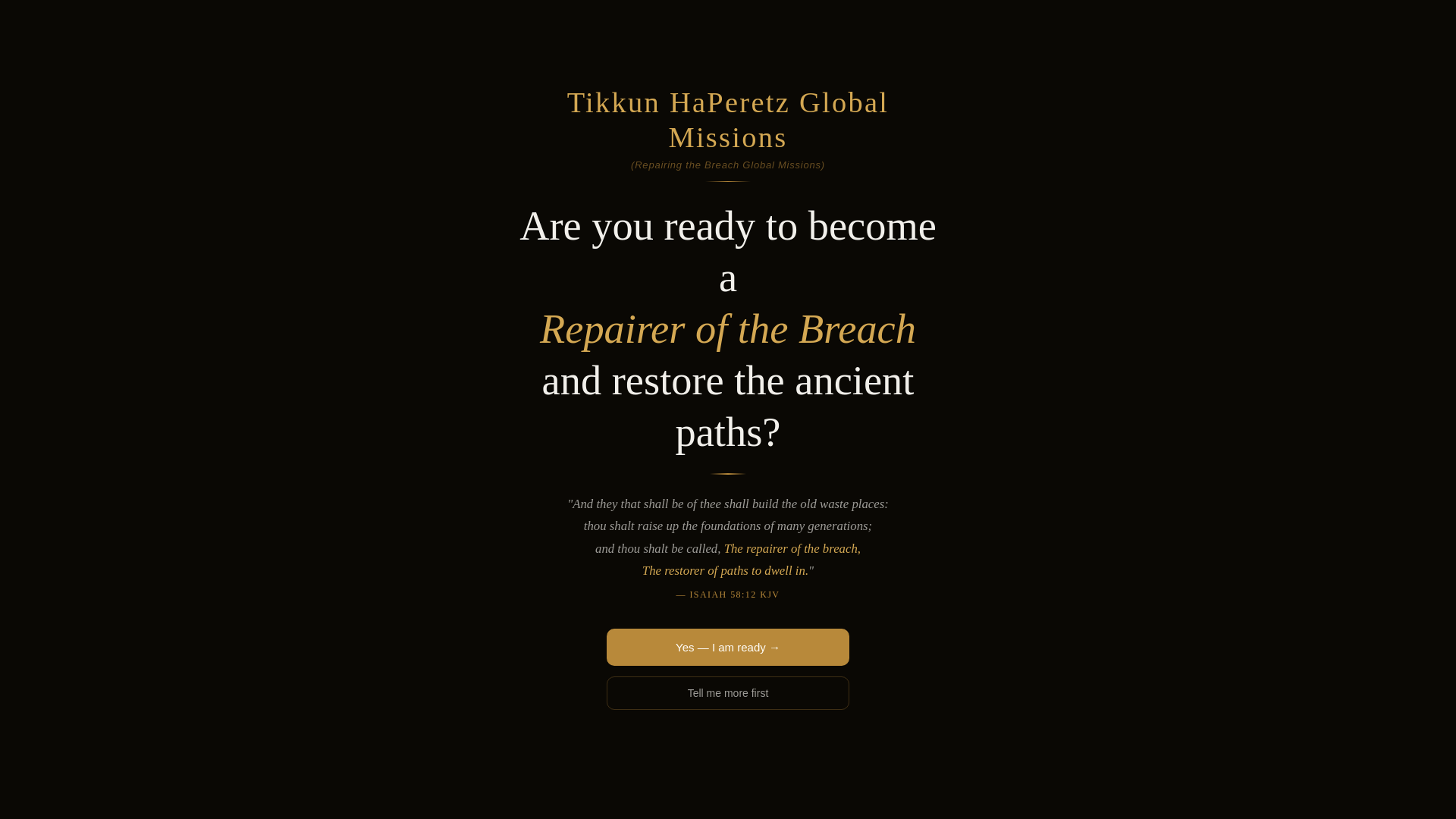 website screenshot of https://tikkunhaperetz.com/