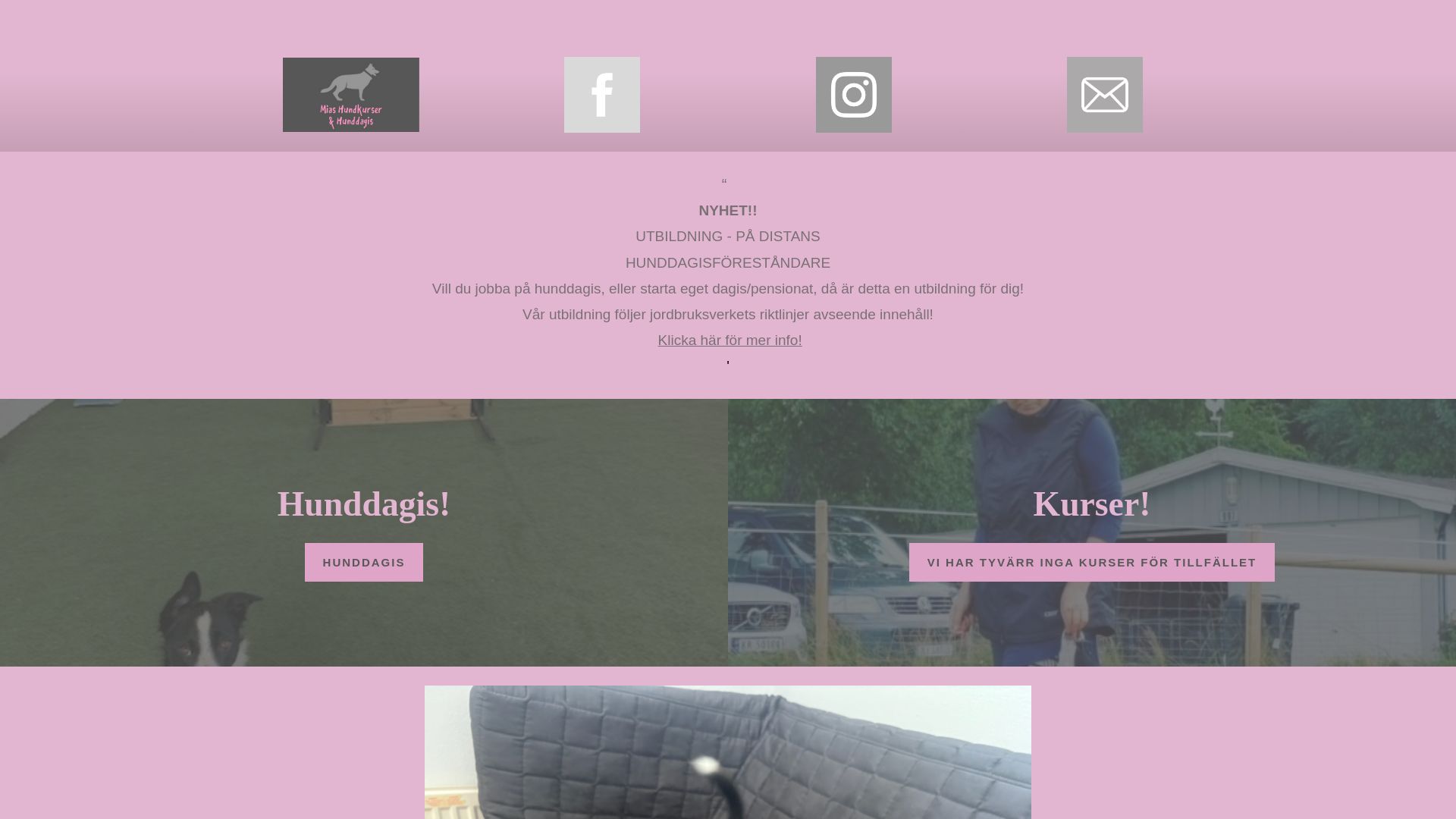 website screenshot of https://miashundkurserhunddagis.se/