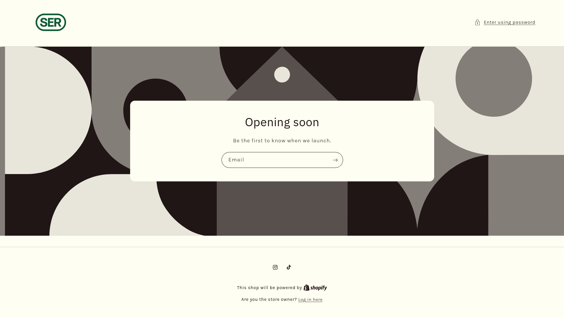 website screenshot of https://ser-store.com/