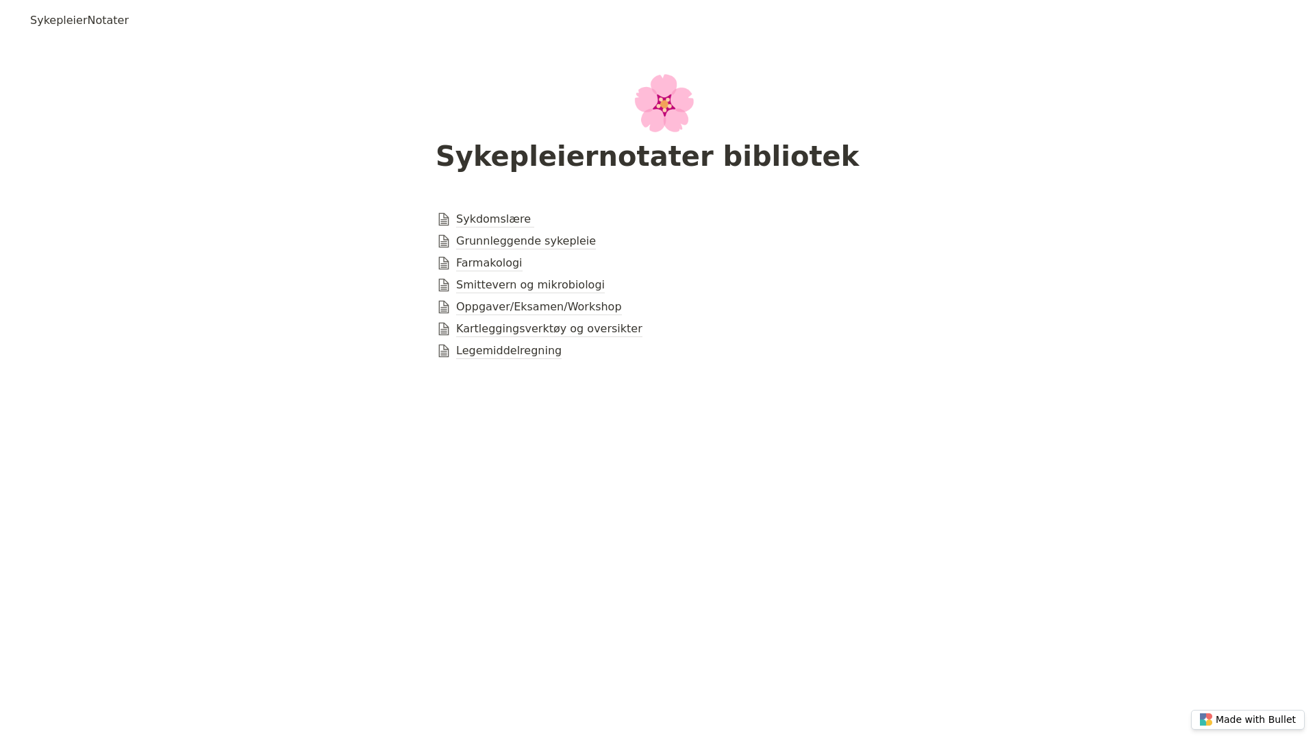 website screenshot of https://sykepleiernotater-bullet.pages.dev/