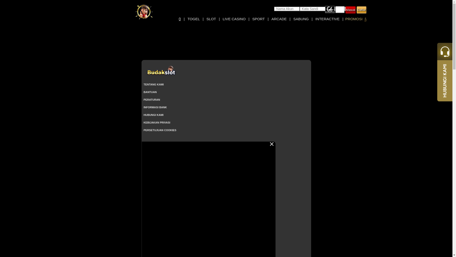 website screenshot of https://budakalternatif5.xyz/