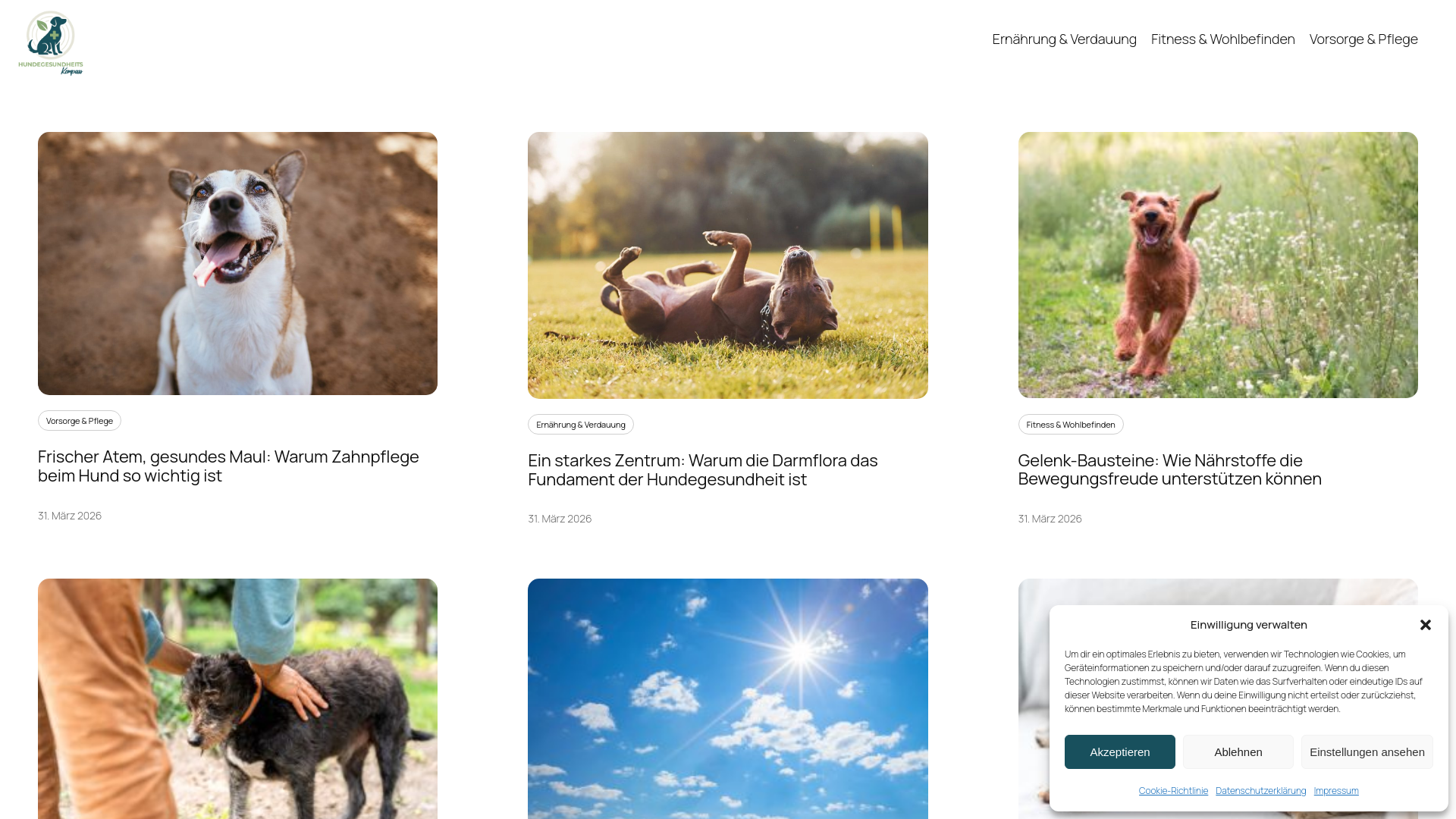 website screenshot of https://hundegesundheits-kompass.de