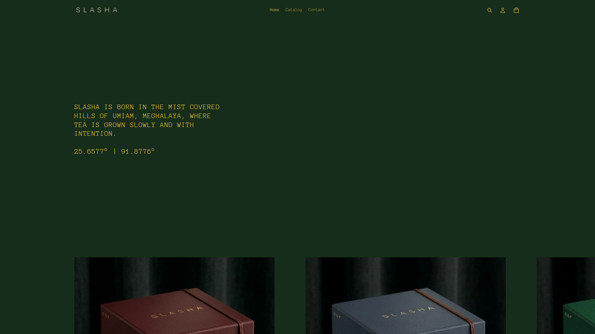 website screenshot of https://slasha.in/