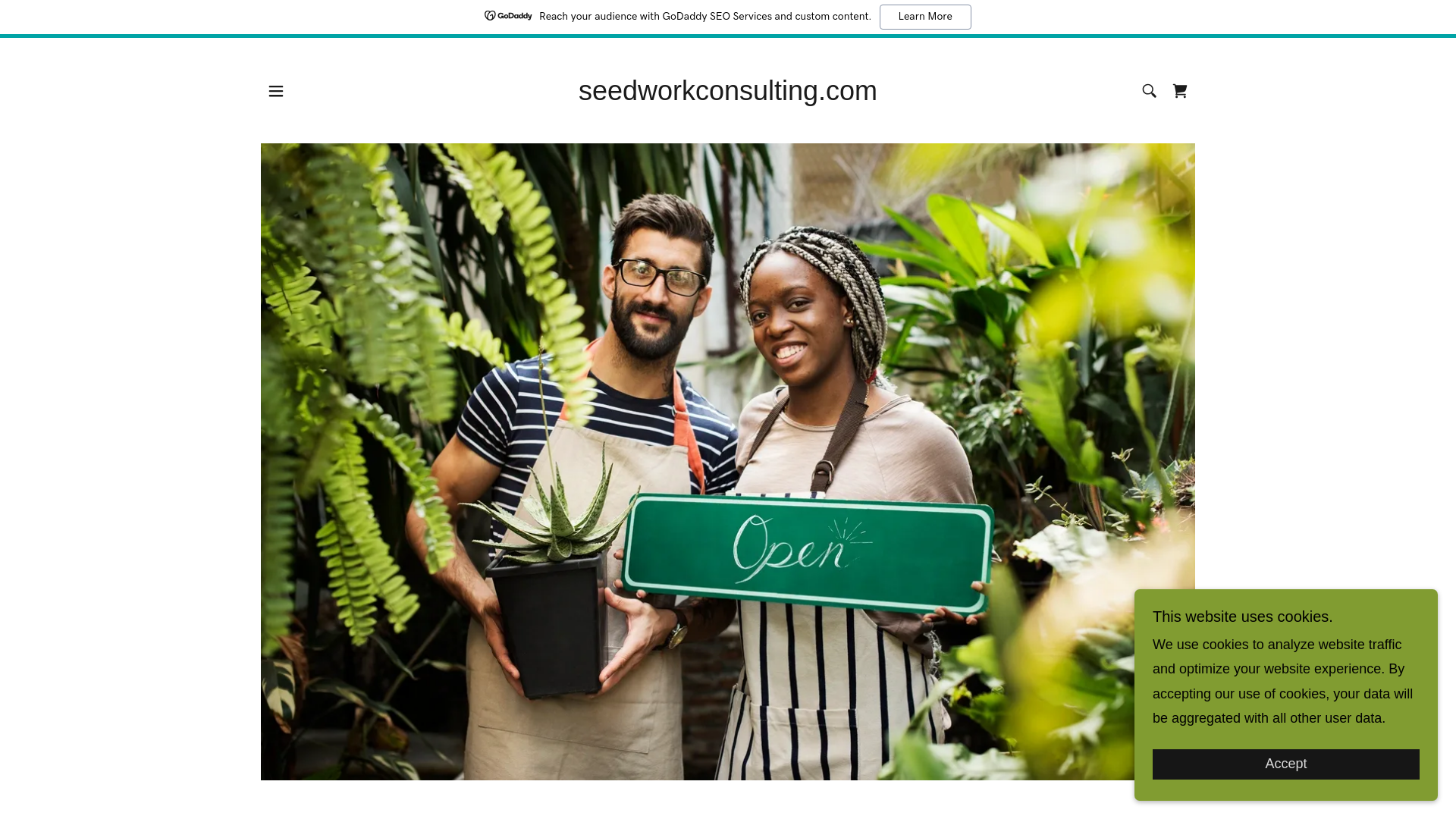 website screenshot of https://seedworkconsulting.com/