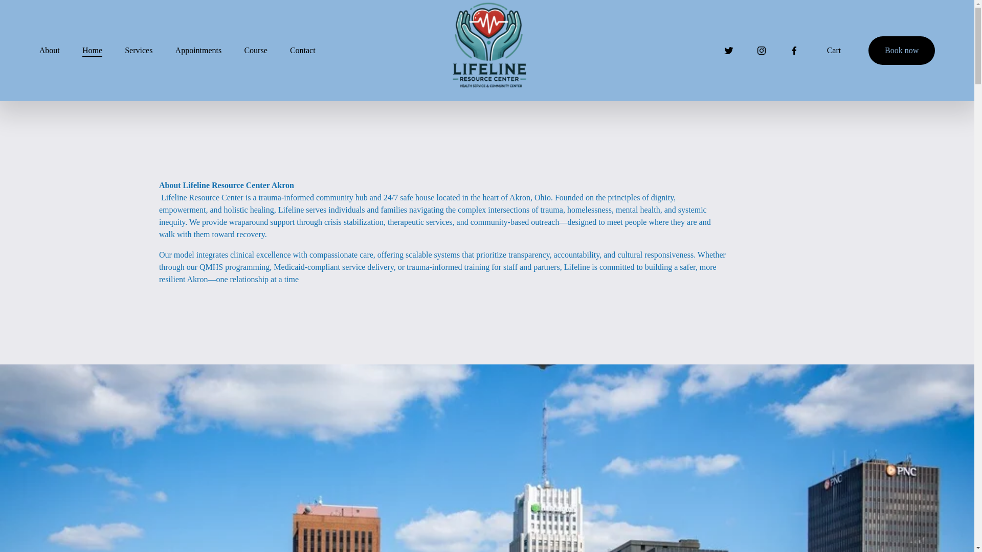 website screenshot of https://lifelineresourcescenter.com/