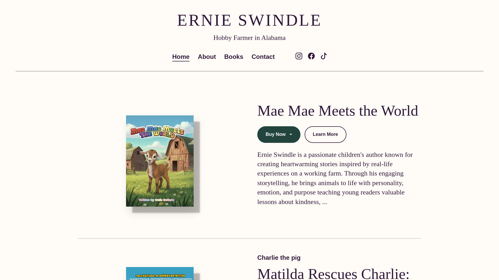 website screenshot of https://ernieswindlebooks.com/