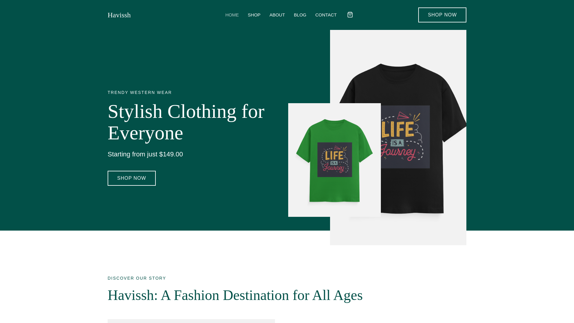 website screenshot of https://havissh.com/