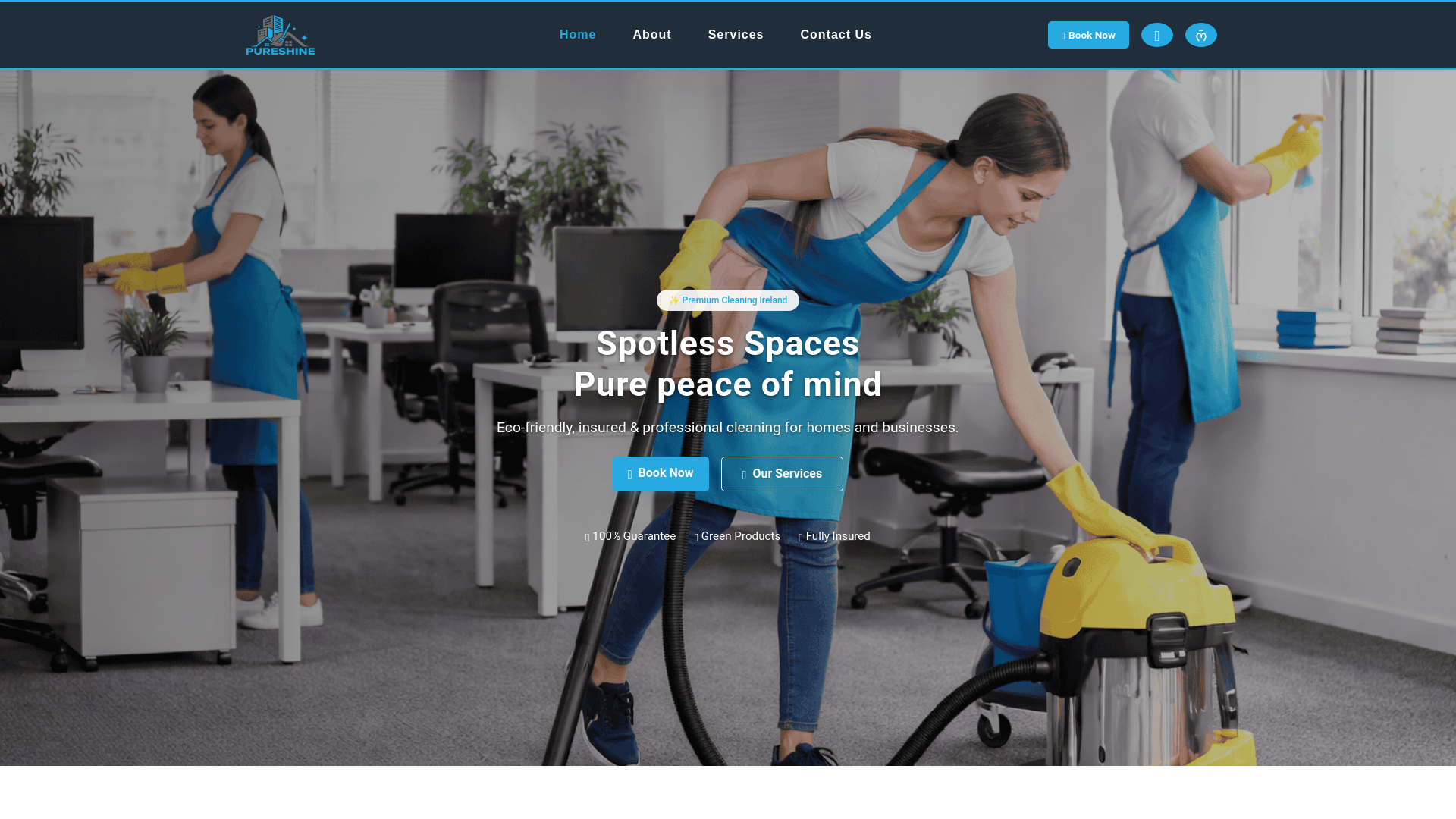 website screenshot of https://pureshine.ie