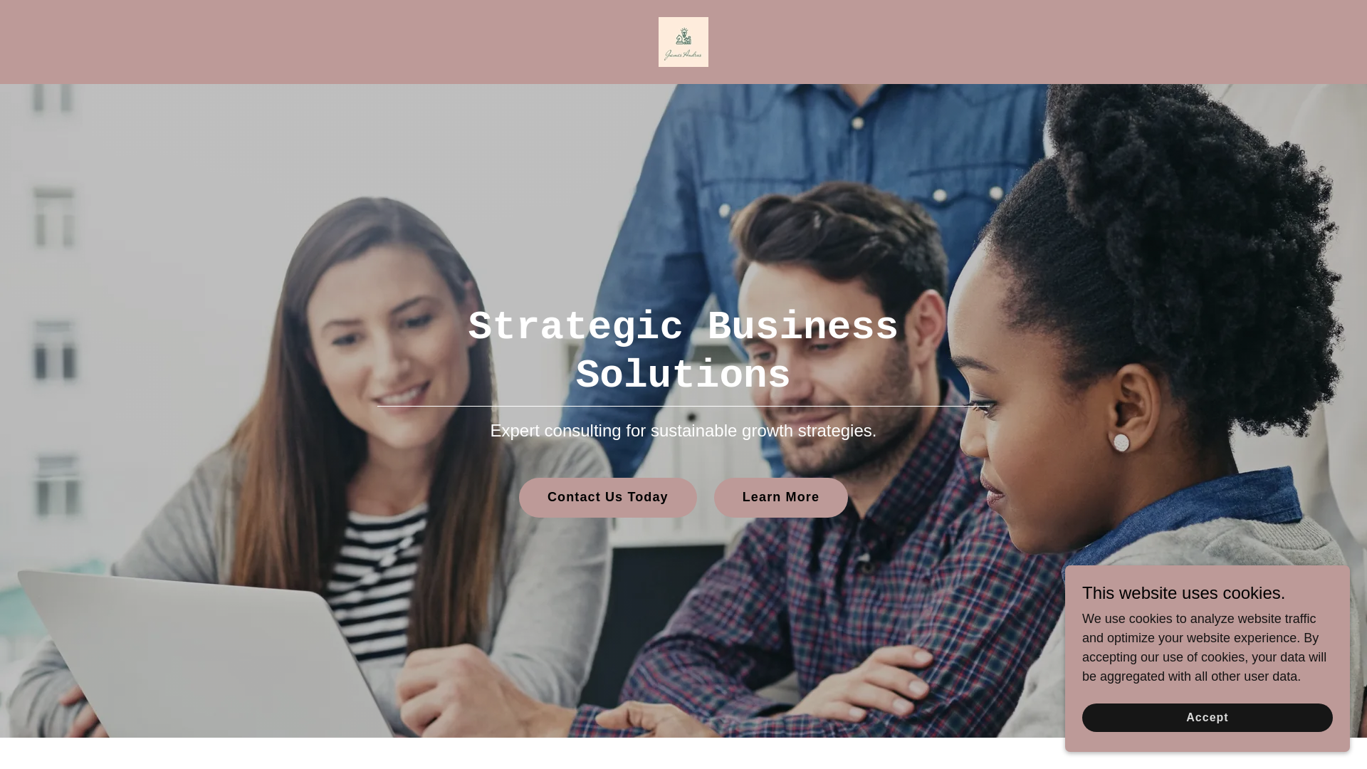 website screenshot of https://jamesandrus.com/