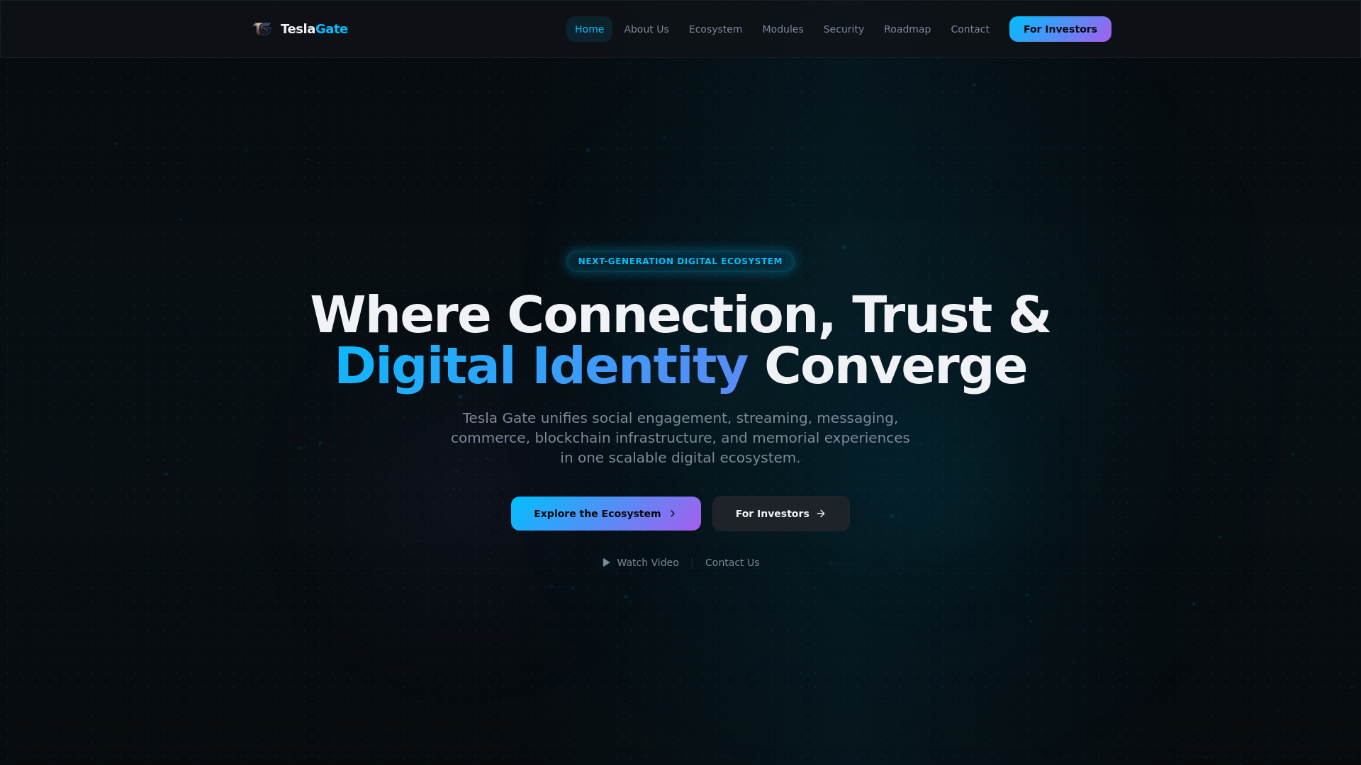 website screenshot of https://teslagate.io