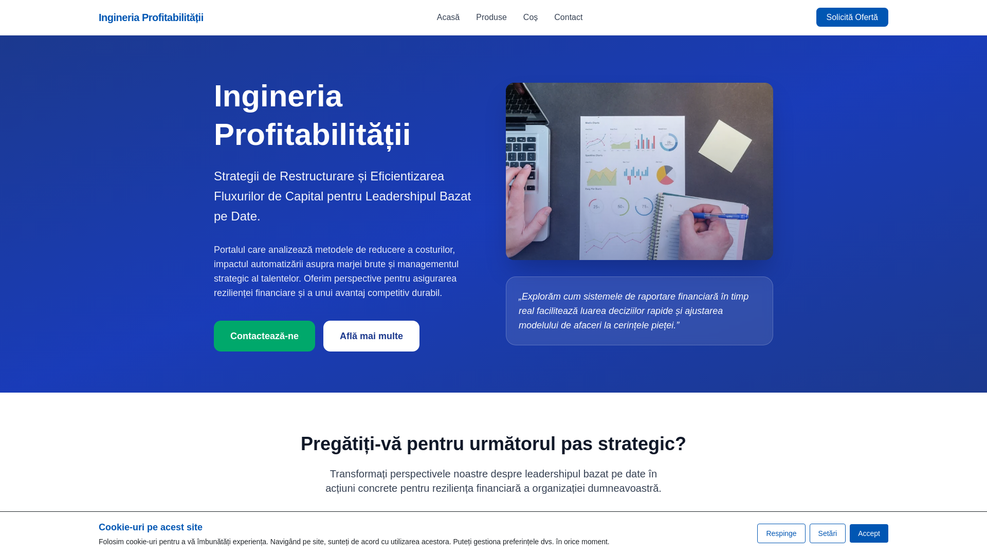 website screenshot of https://tarikkarayagiz.com/